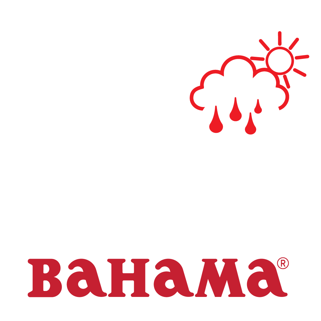 You-9-Network-Logo-Profile-Picture